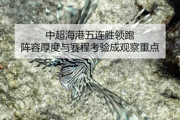 中超海港五连胜领跑 阵容厚度与赛程考验成观察重点
